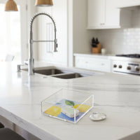 "Life Gives You Lemons.." 5x5 Accent Box Insert