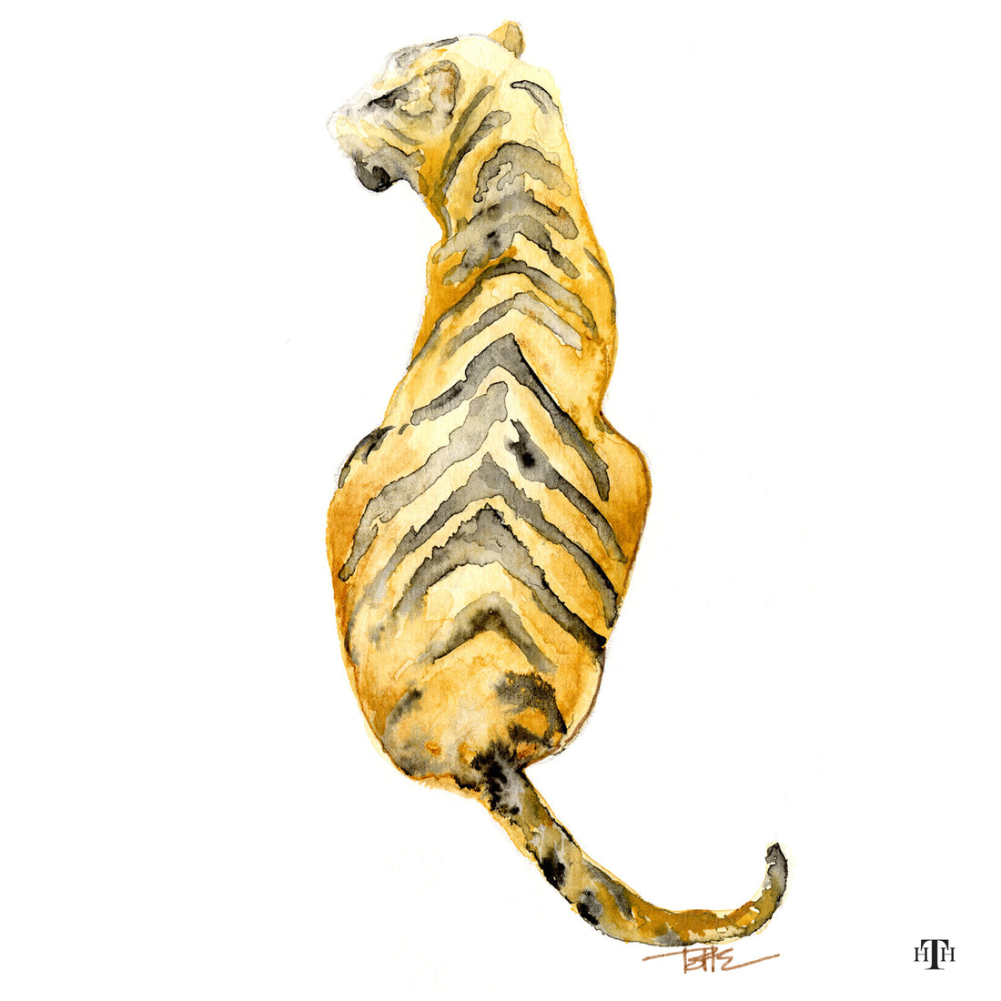Back of Tiger 4x4 Acrylic Coaster (Set of 4)